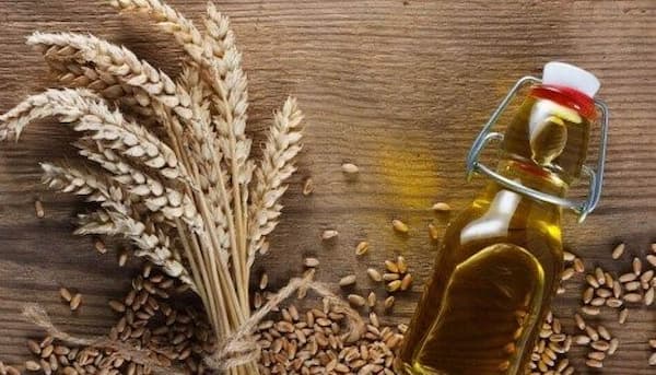 تصویر 4 از قیمت خرید عصاره روغن جوانه گندم + فروش ویژه